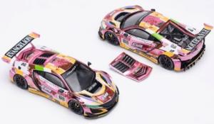 HONDA NSX GT3 EVO22 EVA RT Production model custom Type-08 1/64